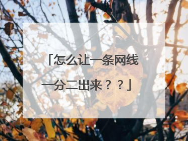 怎么让一条网线一分二出来??