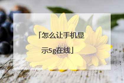 怎么让手机显示5g在线