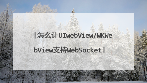 怎么让UIwebView/WKWebView支持WebSocket