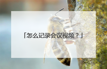 怎么记录会议视频?