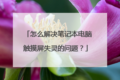 怎么解决笔记本电脑触摸屏失灵的问题？