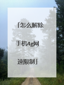 怎么解除手机4g网速限制