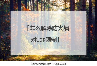 怎么解除防火墙对UDP限制