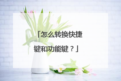 怎么转换快捷键和功能键?