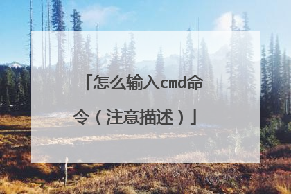 怎么输入cmd命令(注意描述)