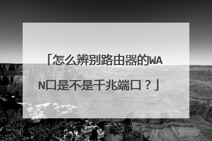 怎么辨别路由器的WAN口是不是千兆端口？
