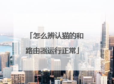 怎么辨认猫的和路由器运行正常