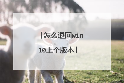 怎么退回win10上个版本