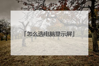怎么选电脑显示屏