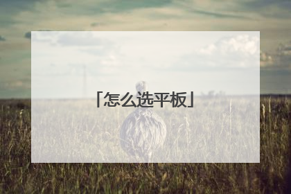 怎么选平板