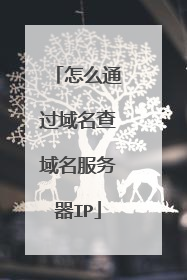 怎么通过域名查域名服务器IP