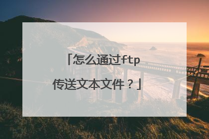 怎么通过ftp传送文本文件？
