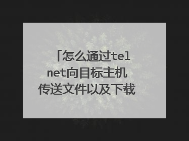 怎么通过telnet向目标主机传送文件以及下载文件？有图形化的软件吗？谢谢！