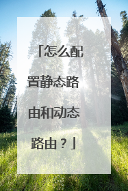 怎么配置静态路由和动态路由?