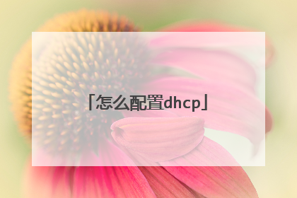 怎么配置dhcp
