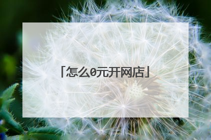 怎么0元开网店