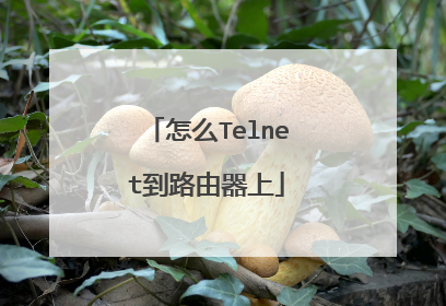怎么Telnet到路由器上