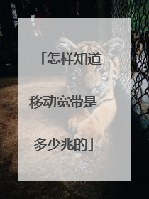 怎样知道移动宽带是多少兆的