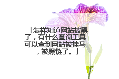 怎样知道网站被黑了,有什么查询工具可以查到网站被挂马,被黑链了。