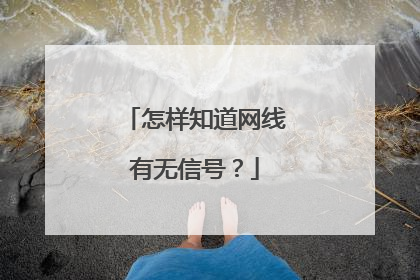 怎样知道网线有无信号?