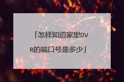 怎样知道家里DVR的端口号是多少