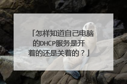 怎样知道自己电脑的DHCP服务是开着的还是关着的?