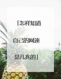 怎样知道自己的网速是几兆的