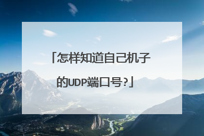 怎样知道自己机子的UDP端口号?