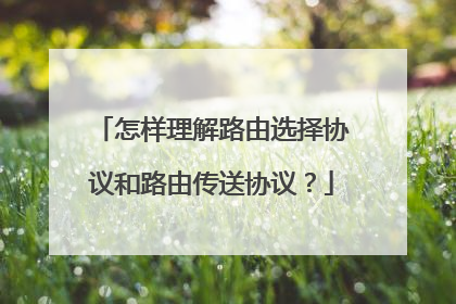 怎样理解路由选择协议和路由传送协议？
