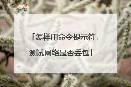 怎样用命令提示符.测试网络是否丢包
