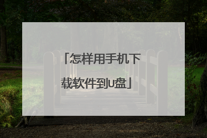 怎样用手机下载软件到U盘