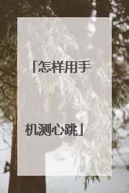 怎样用手机测心跳