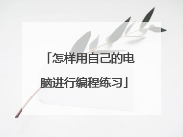 怎样用自己的电脑进行编程练习