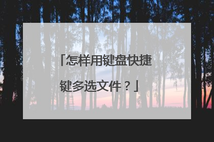 怎样用键盘快捷键多选文件?