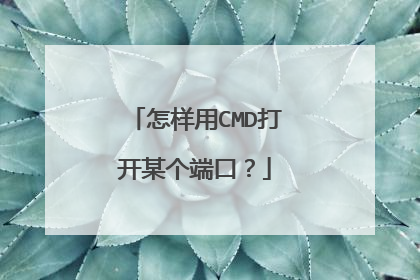 怎样用CMD打开某个端口？