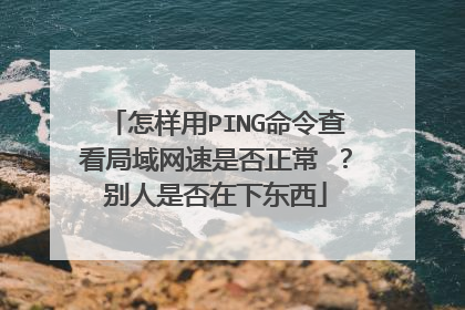怎样用PING命令查看局域网速是否正常 ?别人是否在下东西