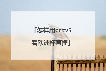 怎样用cctv5 看欧洲杯直播
