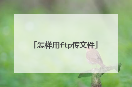 怎样用ftp传文件
