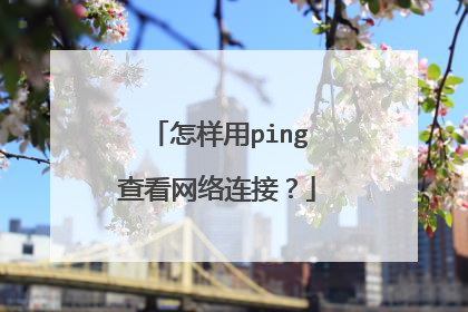 怎样用ping查看网络连接？