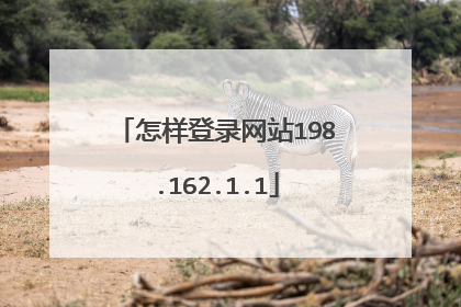 怎样登录网站198.162.1.1