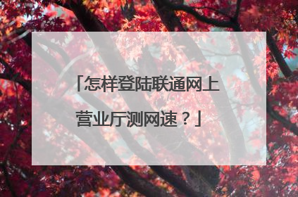 怎样登陆联通网上营业厅测网速？