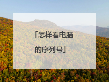 怎样看电脑的序列号