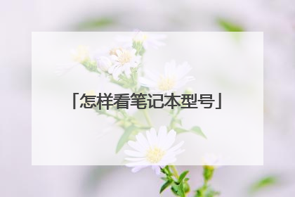 怎样看笔记本型号