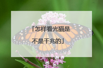 怎样看光猫是不是千兆的