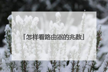 怎样看路由器的兆数