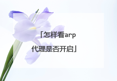 怎样看arp代理是否开启