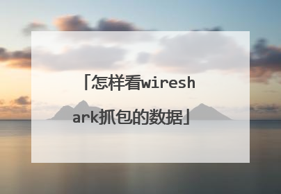 怎样看wireshark抓包的数据