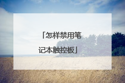 怎样禁用笔记本触控板