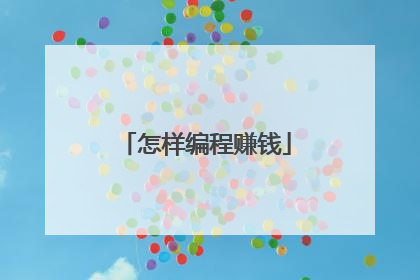 怎样编程赚钱