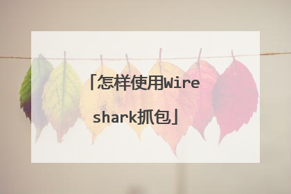 怎样使用Wireshark抓包